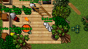 Satart on screen