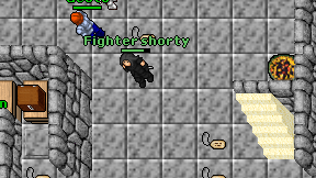 Fighter shorty on screen