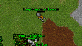 Legionnaire Hawaii on screen