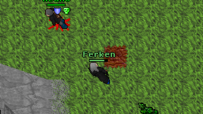 Ferken on screen