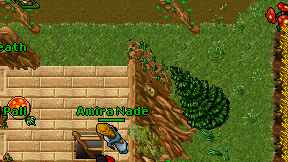 Amira Nade on screen
