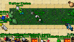 Qerok on screen