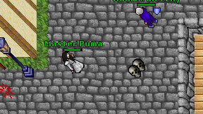 Master Puma on screen