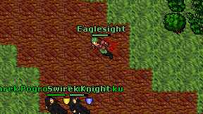 Eaglesight on screen