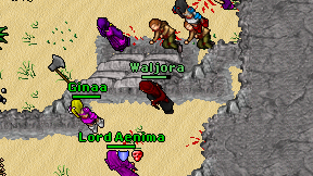 Waljora on screen