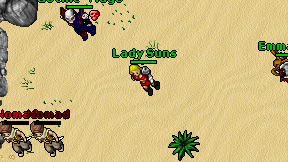 Lady Suns on screen