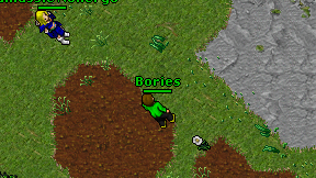 Bories on screen
