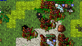 Poliche on screen