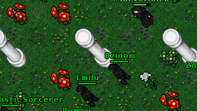 Bzioom on screen