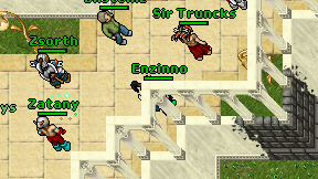 Enzinno on screen