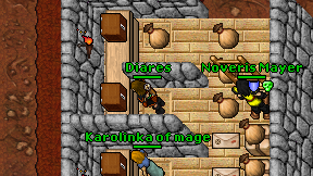 Diares on screen