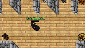 Rafal Cat on screen