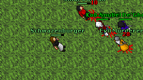 Schwazenburger on screen