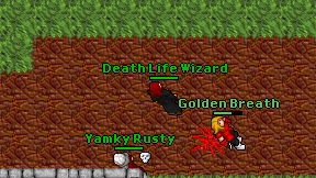 Death Life Wizard on screen