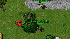 Rosy Mathz on screen