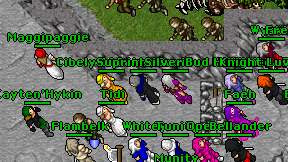 Suprinha Druid on screen