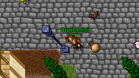 Pipihendi on screen