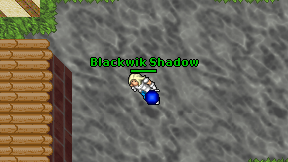 Blackwik Shadow on screen