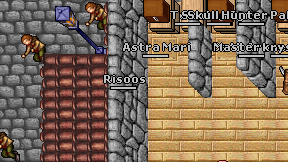 Risoos on screen