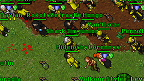 Shark Jim junior on screen