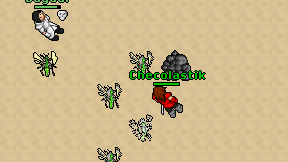 Checolastik on screen