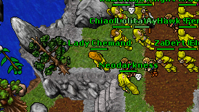 Lady Chemand on screen