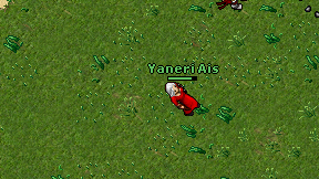 Yaneri Ais on screen