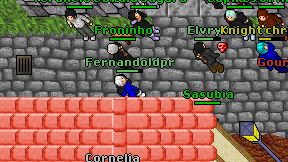 Fernandoldpr on screen