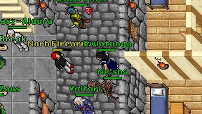 Kwiatunga on screen