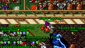 Ziwis'Lotus on screen
