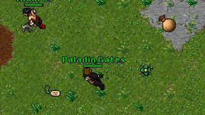 Paladin Gates on screen