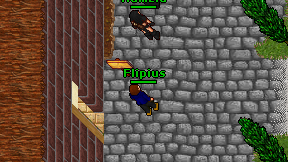 Flipius on screen