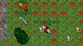 Semperfideles on screen