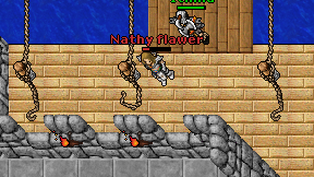 Nathy flawer on screen
