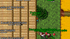 Tutopi on screen