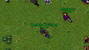 Xedark Ninko on screen
