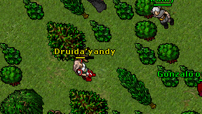 Druida'yandy on screen
