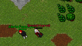Druid Marvil on screen