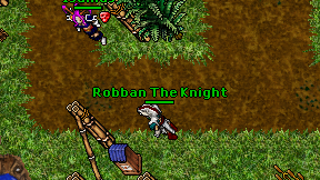 Robban The Knight on screen