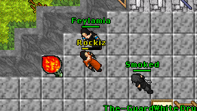 Rockiz on screen