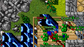 Xilino on screen