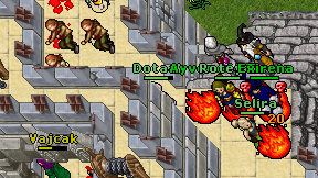 Dotaah on screen