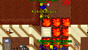 Koko Kangus on screen