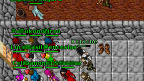 Katsche on screen