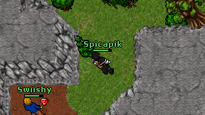 Spicapik on screen