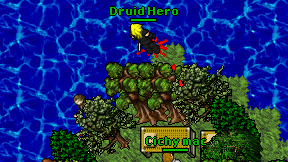 Druid Hero on screen