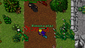 Rinona plaz on screen