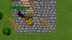 Zisox on screen