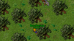 Bozhena on screen