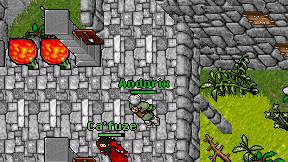 Andorix on screen